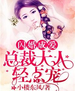 闪婚成爱：总裁大人轻点宠