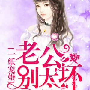 一纸宠婚：老公，别太坏