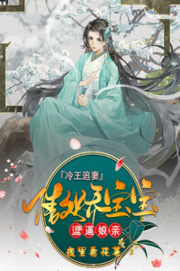 冷王追妻：傲娇宝宝逗逼娘亲